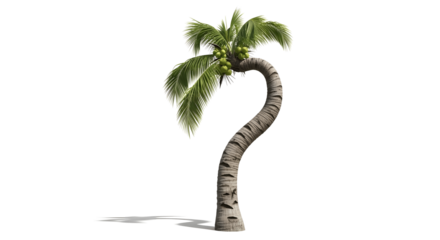 Tropical getaway vibes with this beautiful coconut palm tree, perfect for summer vacation designs