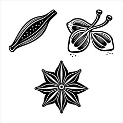 Texture and Color of Gourmet Spices, This Vibrant Aromatic Collection of Natural Organic Ingredients Defines Culinary Art and Healthy Cooking.