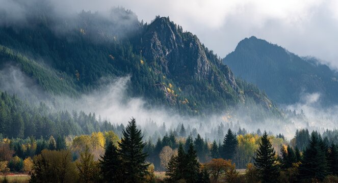 Serene Morning in Snoqualmie Valley: A Beautiful Autumn View of Misty Forest and Mount Si