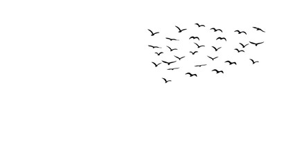 Minimalist Flock of Flying Birds Silhouette