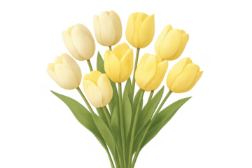 Yellow tulips bouquet arranging in watercolor illustration