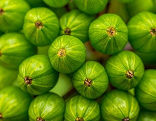 Close-up of small, round green fruits, with a symmetrical pattern, creating a textured effect