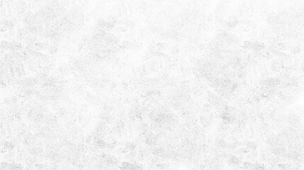 Fototapeta premium Minimalist abstract background featuring a subtle white and light gray texture. A clean, gentle surface perfect for elegant design, resembling soft handmade paper or a light marble pattern
