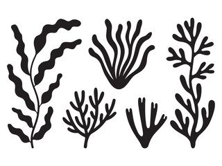 Silhouette black of various seaweed and ocean plants vector illustration