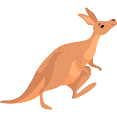 Cute Brown Kangaroo Character With Transparent Background Animal Illustration In Australia