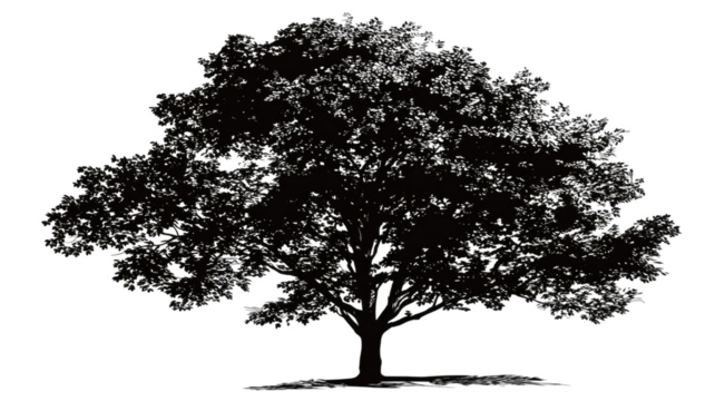 Vector tree silhouette with leaves and branches, isolated on a white background, perfect for nature and forest design or illustration