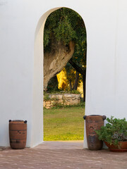 Mediterranean archway framing a tree in a peaceful garden