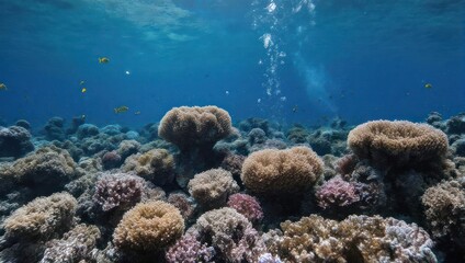 Naklejka premium Underwater scene showcasing a vibrant coral reef teeming with marine life, sunlight filtering