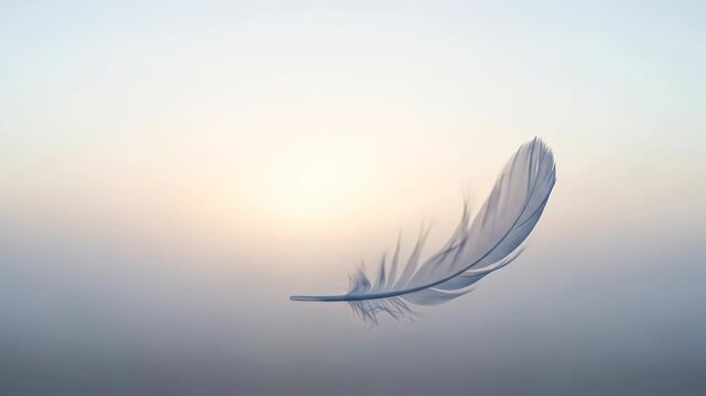 A single feather floats gently in the soft light of dawn or dusk.