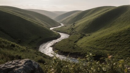 A winding river carves a path through verdant, rolling hills under a soft, natural light