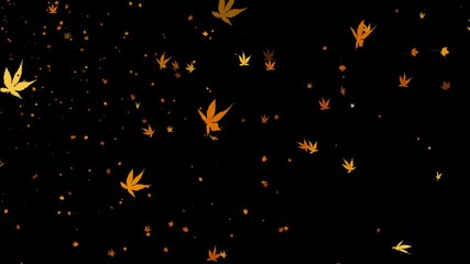 alpha beautiful yellow maple leaves flutter in the wind