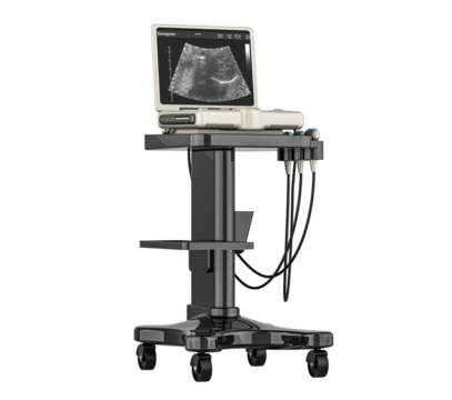 Medical Ultrasound Machine in Modern Hospital: An ultrasound machine, the key to advanced diagnostics, stands ready for patient care, equipped with a monitor displaying detailed images.