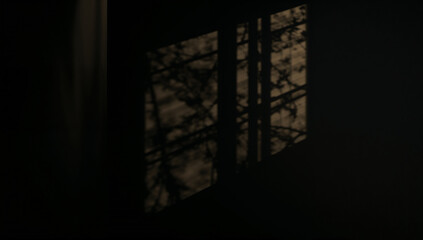 Shadows of Nature Projects through a Window