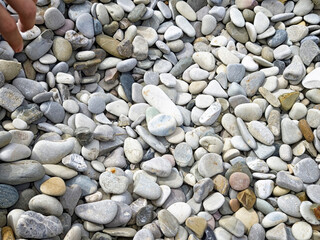 Smooth pebbles scattered on the ground in a natural setting with soft colors and varying shapes