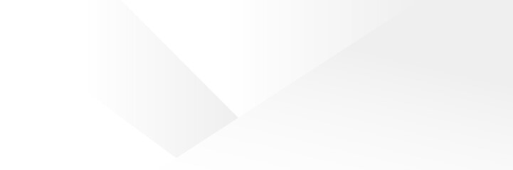 Vector design Geometric white & grey abstract  background.