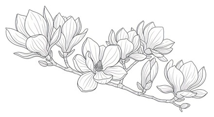 Elegant magnolia branch illustration monochrome floral vector design