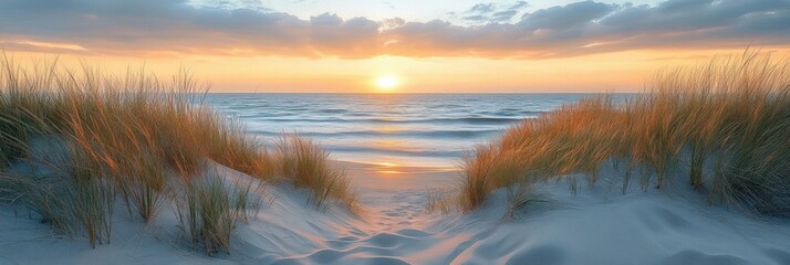 Serene sunset over calm ocean with golden light illuminating grassy sand dunes and soft sandy pathway leading to the water