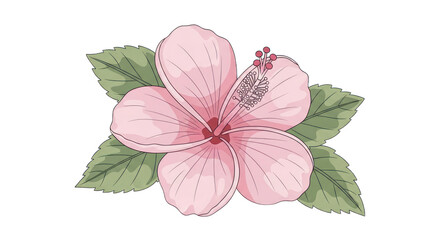 Pink hibiscus flower with green leaves illustration on transparent background