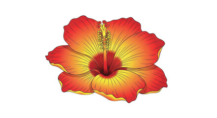 Vibrant red and yellow hibiscus flower isolated on transparent background