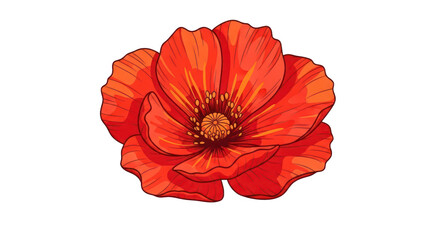 Vibrant red poppy flower illustration with detailed petals and transparent background