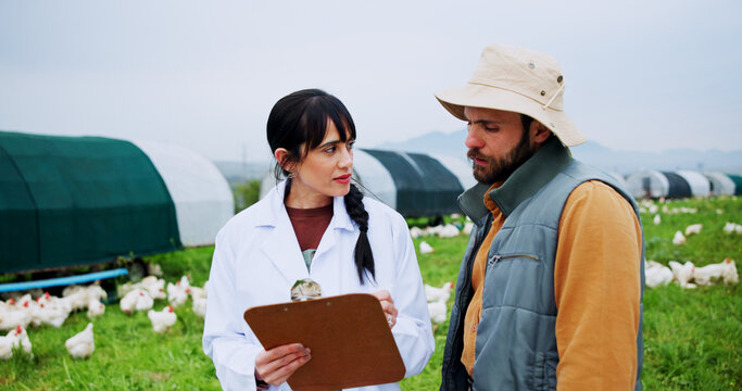 Clipboard, vet and discussion with man on chicken farm for flock health, monitor growth or biosecurity. Poultry industry, doctor and farmer with medical checkup for egg production and agribusiness