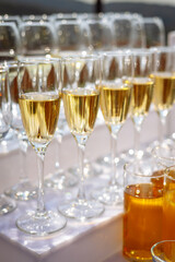 Rows of sparkling champagne flutes on white table with golden liquid and soft bokeh