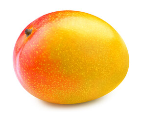 Mango isolated on the white background