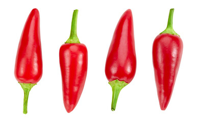 Red hot chili pepper isolated on a white background