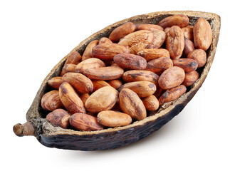 Cocoa beans with cocoa pod isolated on white background