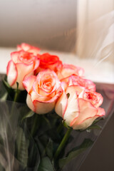 Soft pink-edged roses in delicate cellophane wrap with dreamy natural light