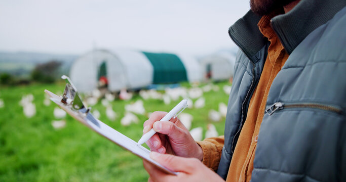 Chicken, farm and document with hands of person for agriculture, poultry flock records or livestock update. Animal tracking, report and clipboard with farmer for free range eggs in countryside