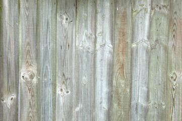 Vertical Wooden Fence Planks with Natural Grain and Weathered Texture