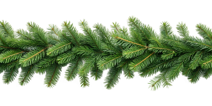 Natural fir branch garland isolated on white background. Evergreen border perfect for winter and Christmas designs. - Powered by Adobe