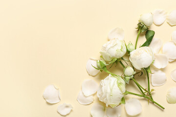 Beautiful white rose flowers and petals on yellow background