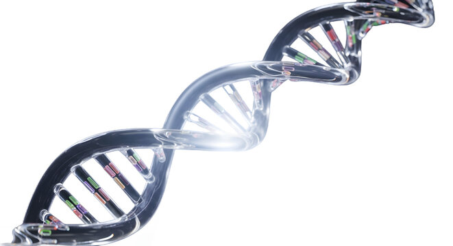 DNA double helix structure rendered in a modern scientific style  