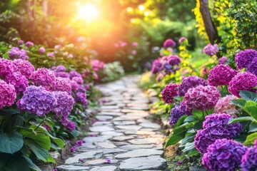 Serene Stone Pathway Surrounded by Vibrant Hydrangeas in Gentle Ambient Light