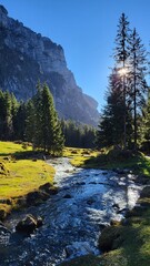 Peaceful mountain landscape with a mountain stream, fir trees, green meadows, and sunbeams shining through the tall fir trees, Bernese Oberland, Switzerland