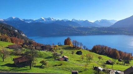 Autumn landscape with colorful trees and a view of the Swiss Alps in the Bernese Oberland and Lake Thun, Switzerland