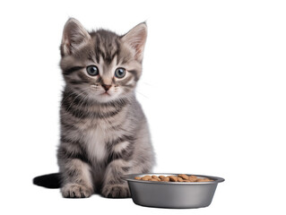 Little cat isolated, young kitten eating cat food from a food bowl, adorable kitten close-up portrait, isolated on a transparent background, professional pet photography, pet food advertising concept