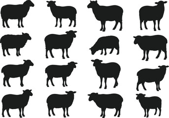 Black sheep silhouette collection, isolated animal poses, farm livestock vector set, minimal style, graphic design elements, editable, commercial use