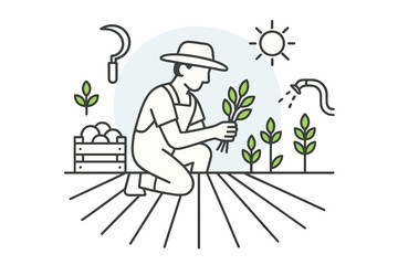Agricultural worker tending to young plants in a cultivated field during sunny weather