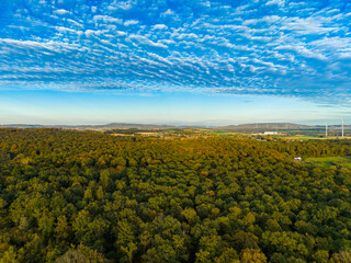 Vast green forest stretches into the horizon under a dramatic sky filled with vibrant clouds and soft light during the golden hour