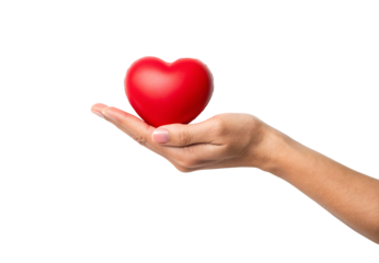Hand presenting red heart symbol, open palm holding glossy cardiovascular shape representing love and health concept, isolated on a transparent background