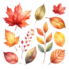 Obraz premium Autumn Leaves: A stunning illustration of various autumn leaves in an array of warm colors, capturing the beauty of the season.