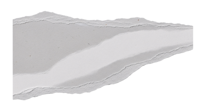 Torn paper edge with subtle texture and layered effect, isolated on white