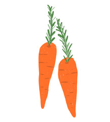 Hand-Drawn Two Carrots with Green Leaves Illustration