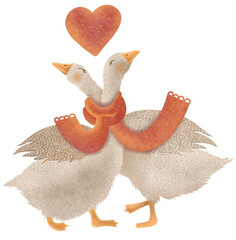 Two cute geese in love with a red scarf on a white background, hand drawn. A cute illustration for Valentine's Day