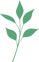 vector style floral branch transparent 