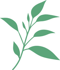 vector style floral branch transparent 