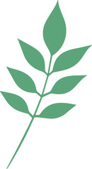 vector style floral branch transparent 